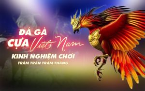 Đá Gà Cựa Việt Nam – Kinh Nghiệm Chơi Trăm Trận Trăm Thắng