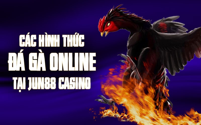 Các hình thức đá gà online tại Jun88 Casino