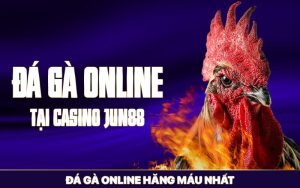 Đá Gà Online Tại Casino Jun88 – Đá Gà Online Hăng Máu Nhất